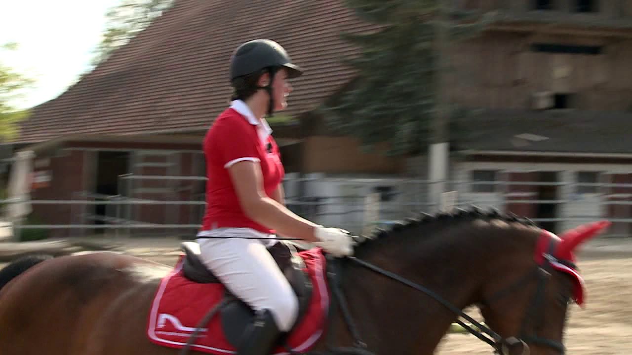 26 reittechnik springreiten