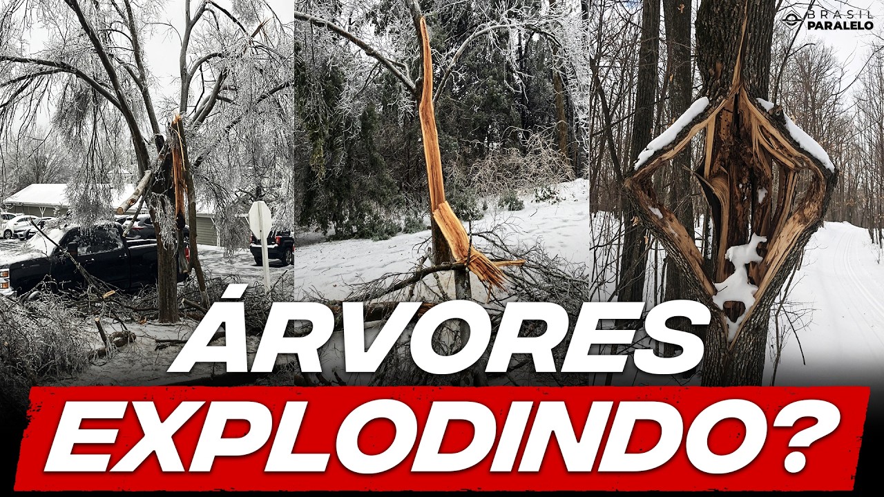 MAIOR NEVASCA EM 40 ANOS: O QUE NÃO TE CONTARAM