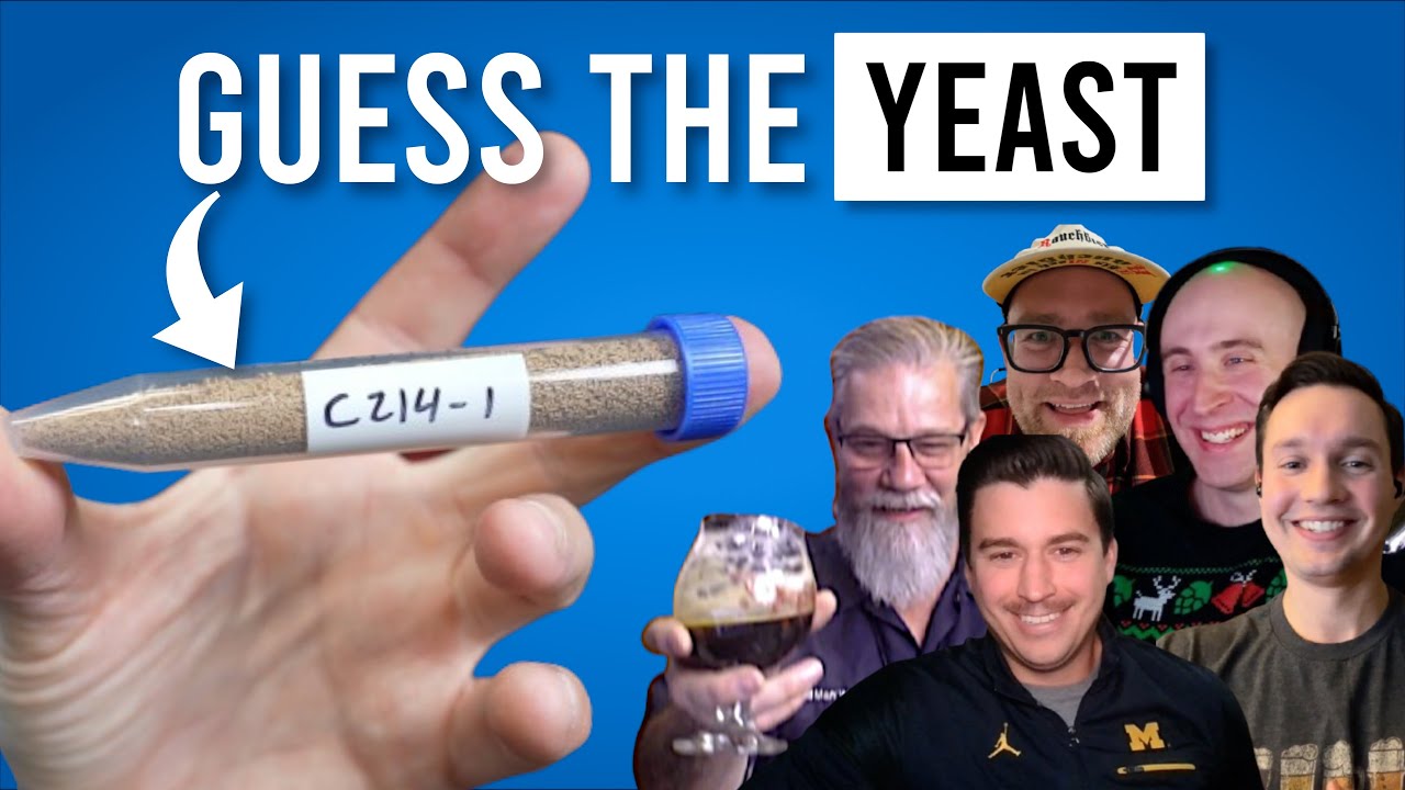 Mystery Yeast Challenge - Can Homebrewers GUESS THE STRAIN?