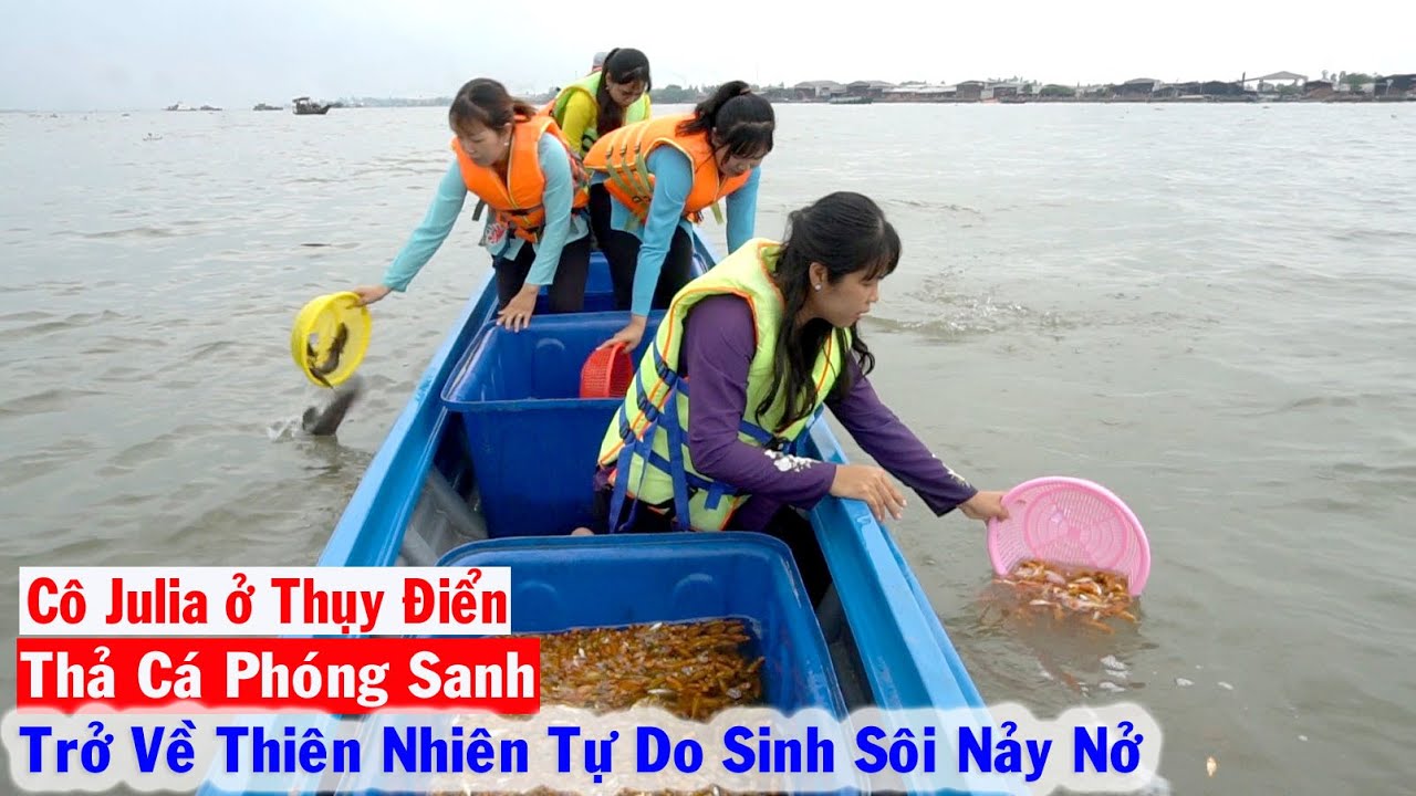 Nhân Dịp Rằm Tháng Giêng Cô Julia ở Thụy Điển phát tâm Thiện Nguyện Phóng Sanh Cá Trở Về Thiên Nhiên