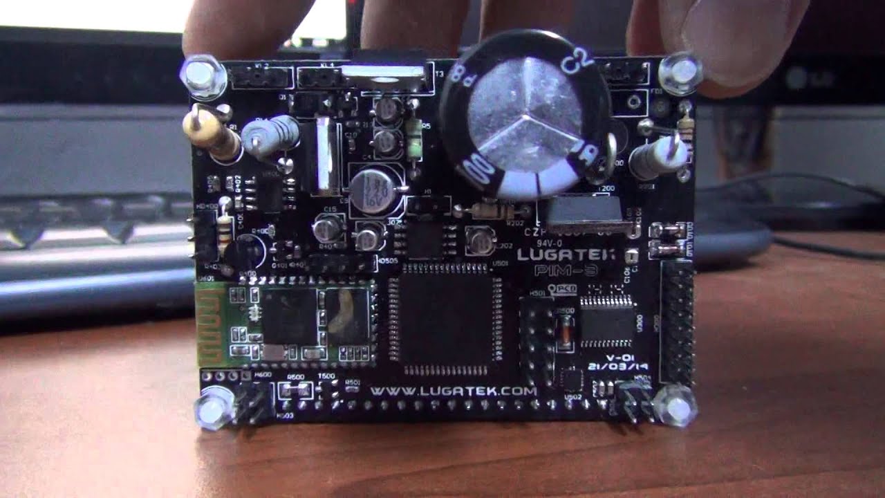 PIM-3 PI System Metal Detector