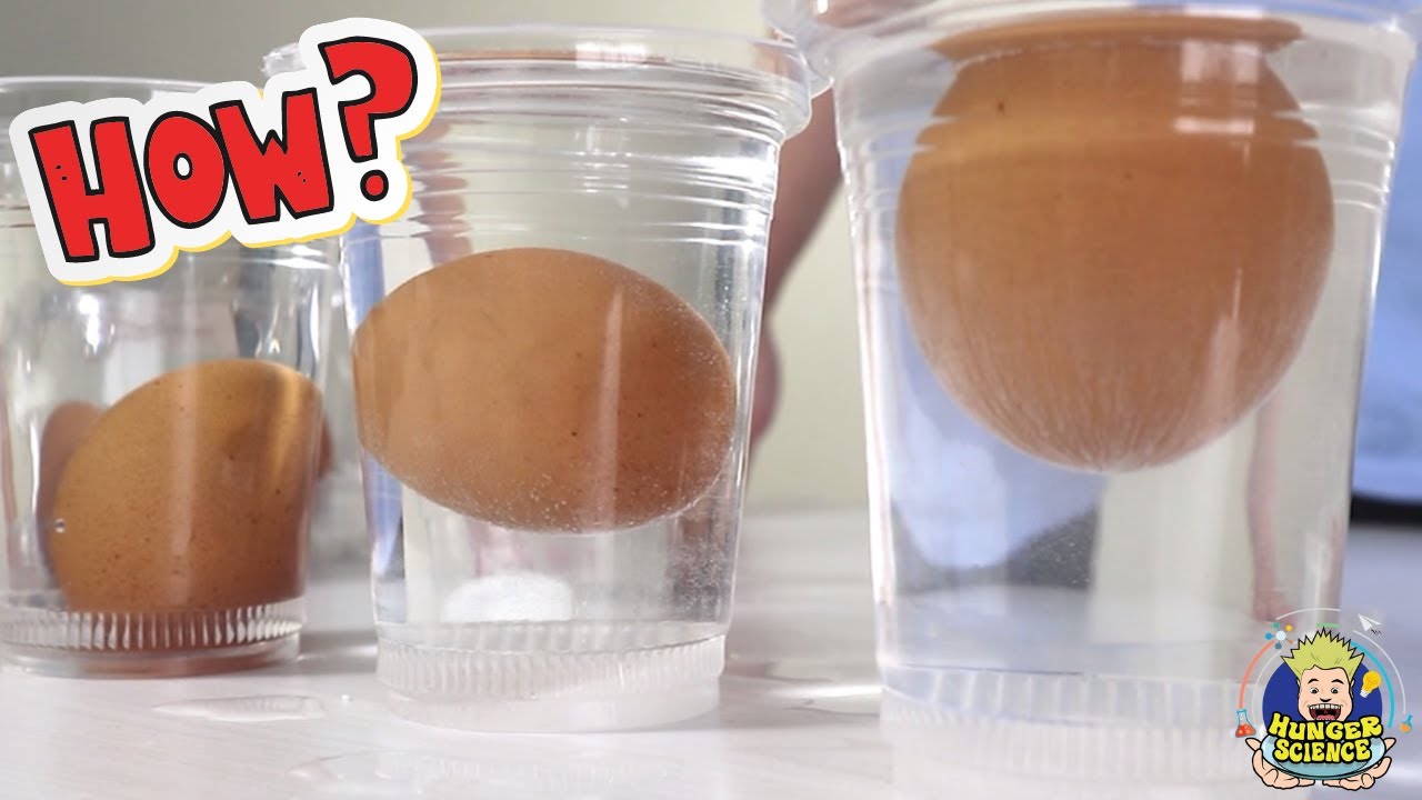 HUNGER SCIENCE#22 - EGG: Telur Perak & Melayang | Silver & Floating Egg