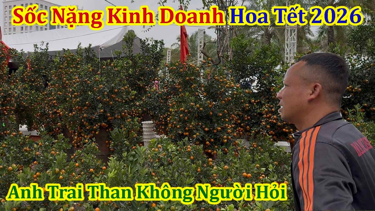 Sốc Nặng Kinh Doanh Chợ Hoa Xuân Tố Hữu Anh Trai Than Không Khách Mua Quất Tết 2026