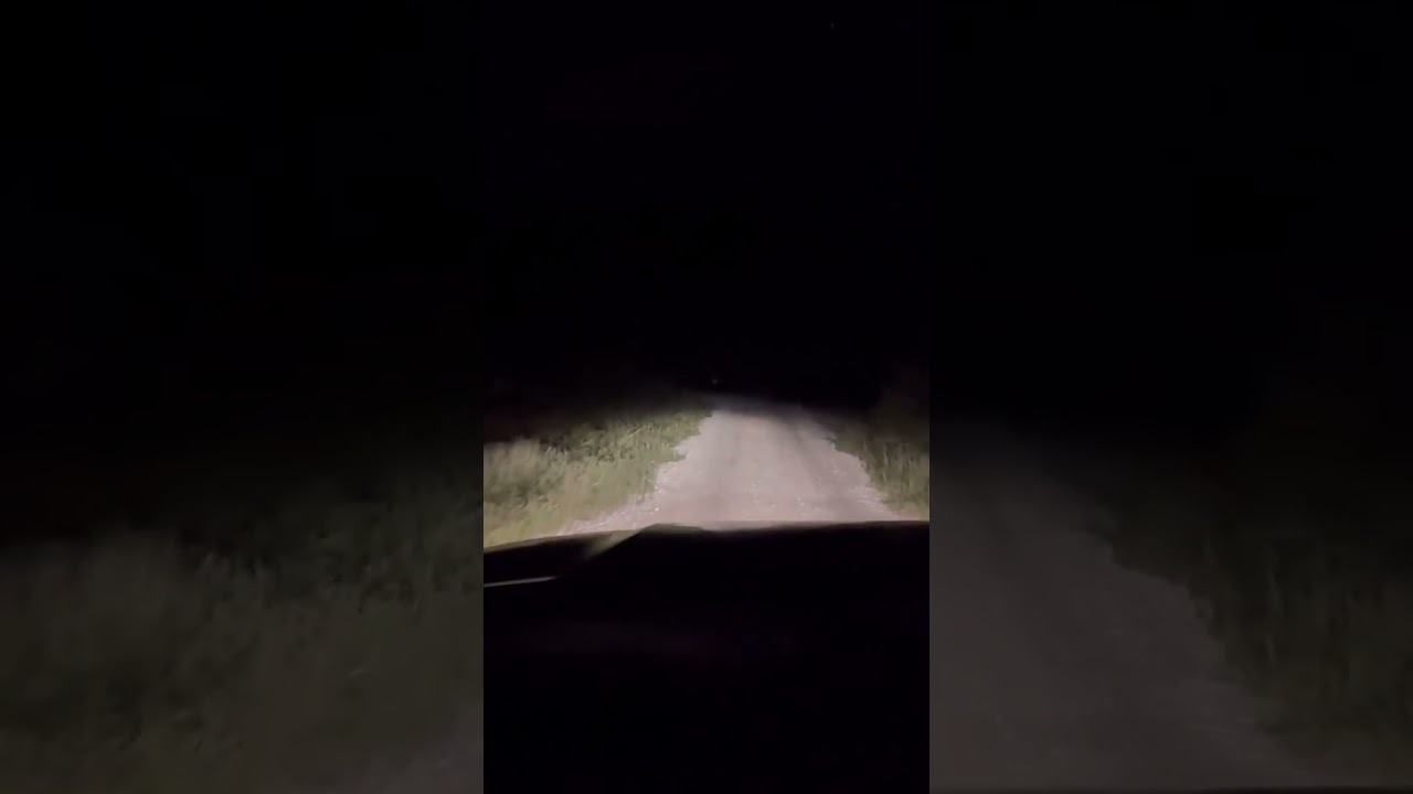 🔦 LED vs. Halogen: The Ultimate Headlight Showdown! 🔦
