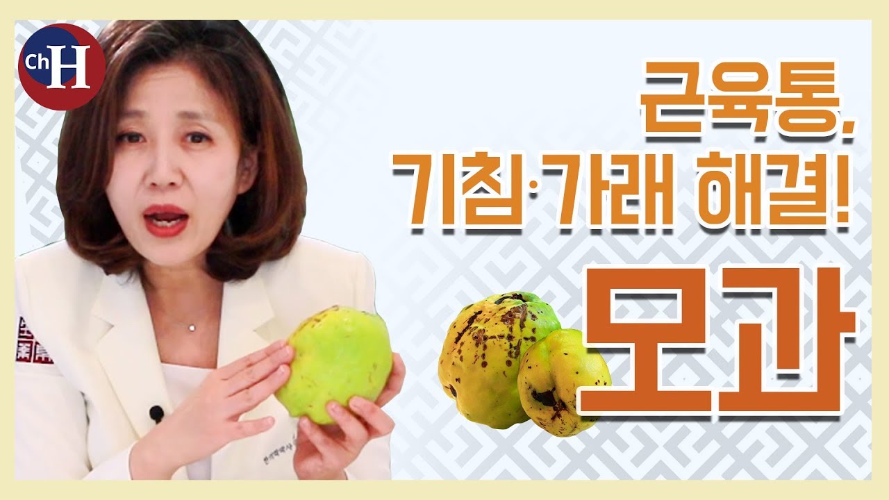 근육통 푸는법과 기침 멈추는 법에 좋은 '모과'