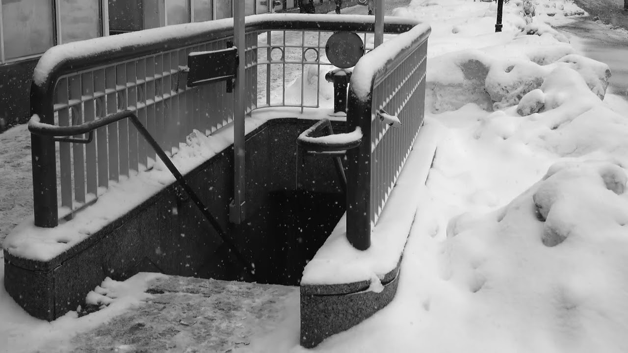 Tribute to winter