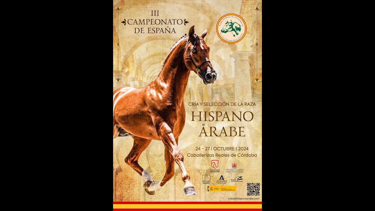 III CAMPEONATO DE ESPAÑA DE CRÍA Y SELECCIÓN DE LA RAZA HISPANO ARABE