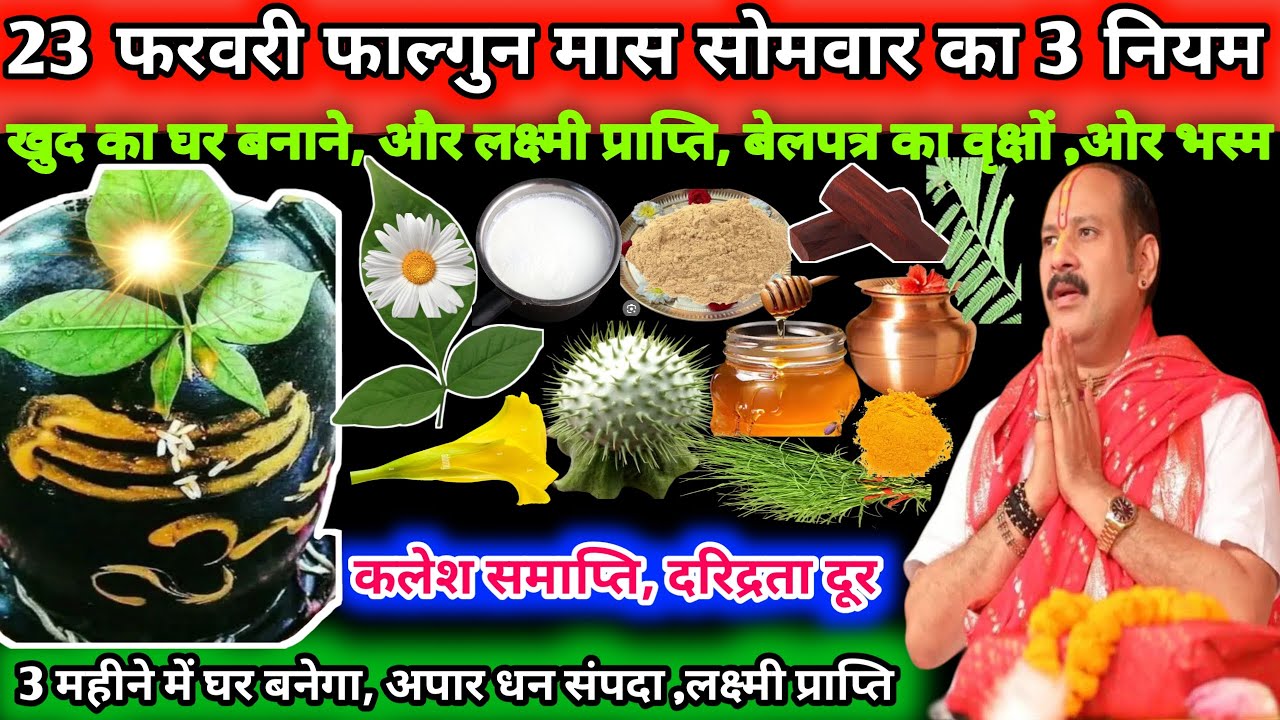 23 फरवरी फाल्गुन मास सोमवार का तीन नियम। लक्ष्मी प्राप्ति बेलपत्र का वृक्षों ओर भस्म 🔱🌿#upay#shiv 