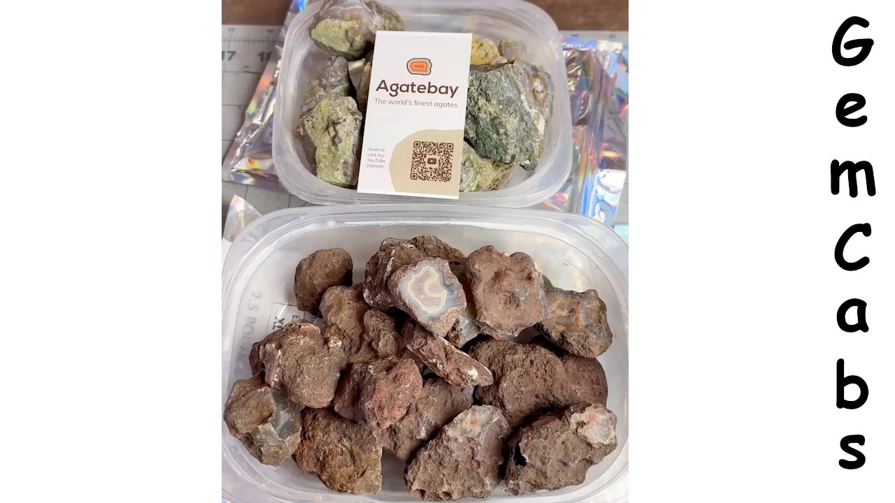 Malawi Agate Nodules and Turkey Limbcasts Rough from Agatebay 02 20 26