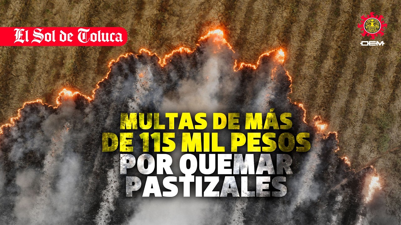 QUEMAR PASTIZALES PODRÍA COSTARTE MÁS DE 115 MIL PESOS EN TOLUCA #edomex #noticias #toluca