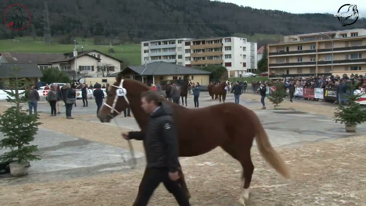 LIVE Glovelier 2023 Rappel final / Endgültiger Rappel