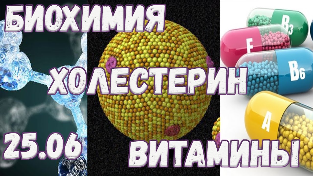Основы биохимии, холестерин, витамины