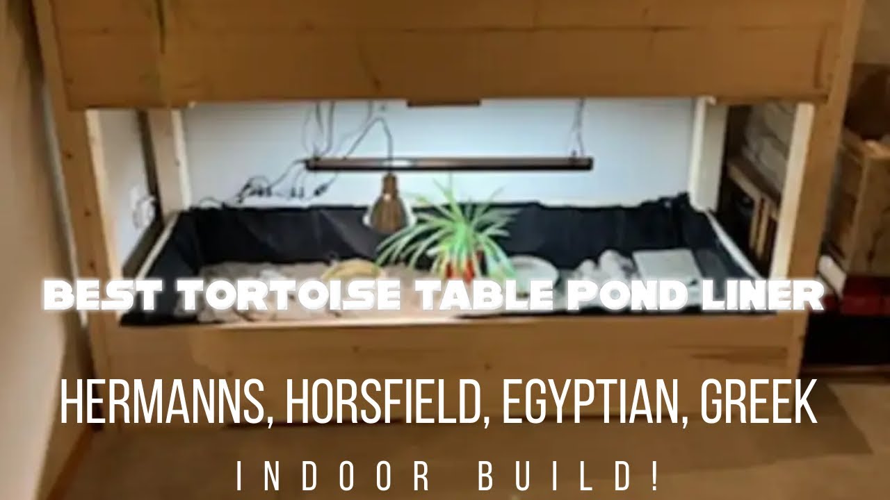 Easiest way to install tortoise table pond liner
