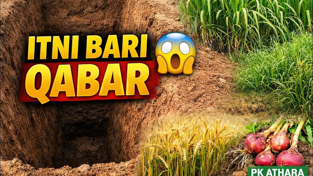  Itni Bari Qabar 😱 | Gaon Ke Khet Aur Faslon Ki Kahani | Village Vlog PK Athara