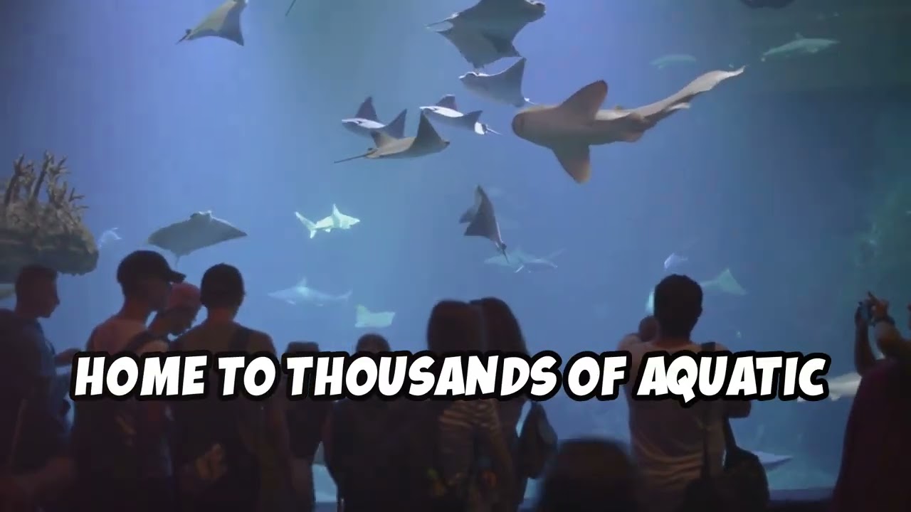 Top 10 Must Visit Locations in Dubai!