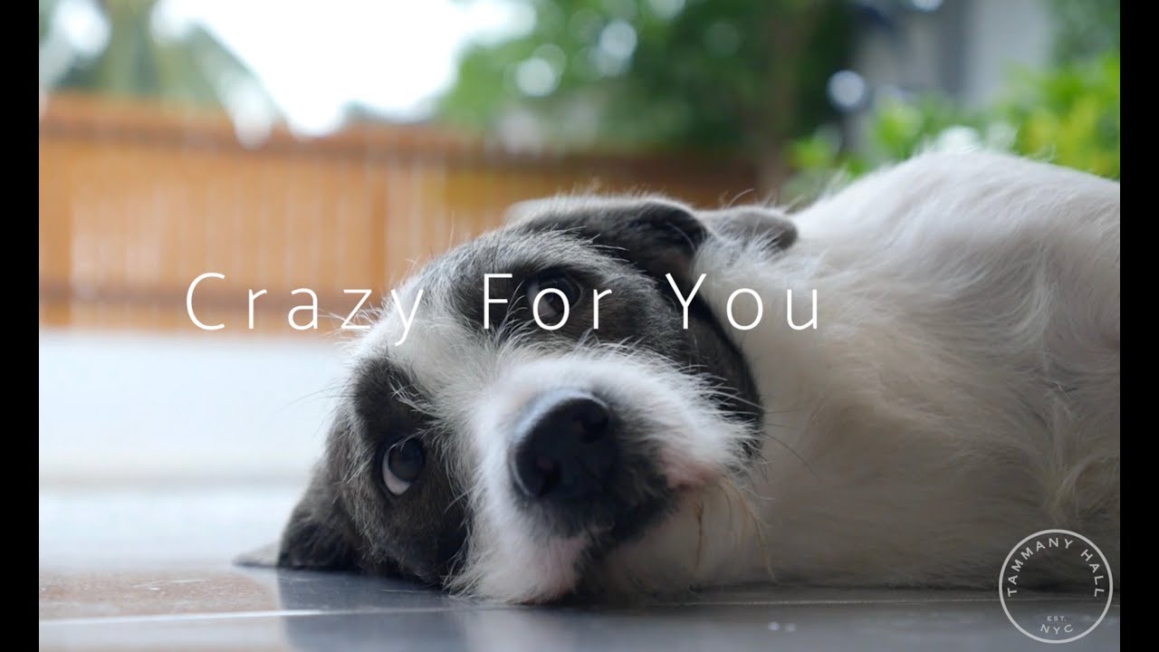 Tammany Hall NYC: Crazy For You (OfficialVideo)