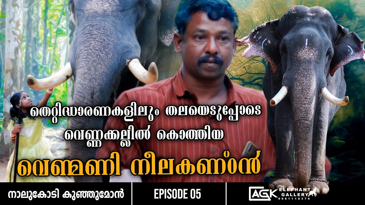 കൂടെ നിക്കുന്നവന് കൂട്ടായൊരു ആന  | നാലുകോടി കുഞ്ഞുമോൻ | EP 05