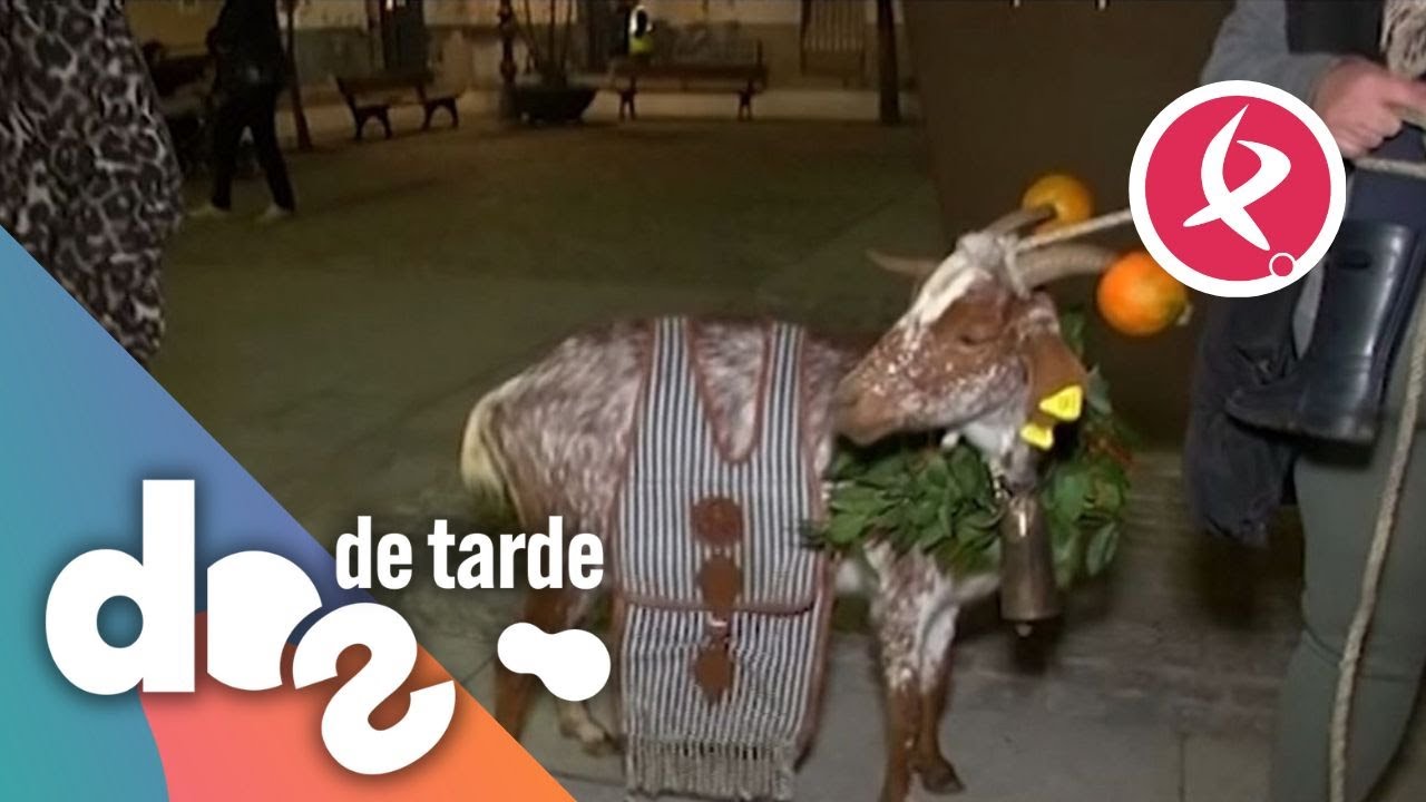 Ceclavín ultima los detalles para la fiesta de La Borrasca | Dos de tarde