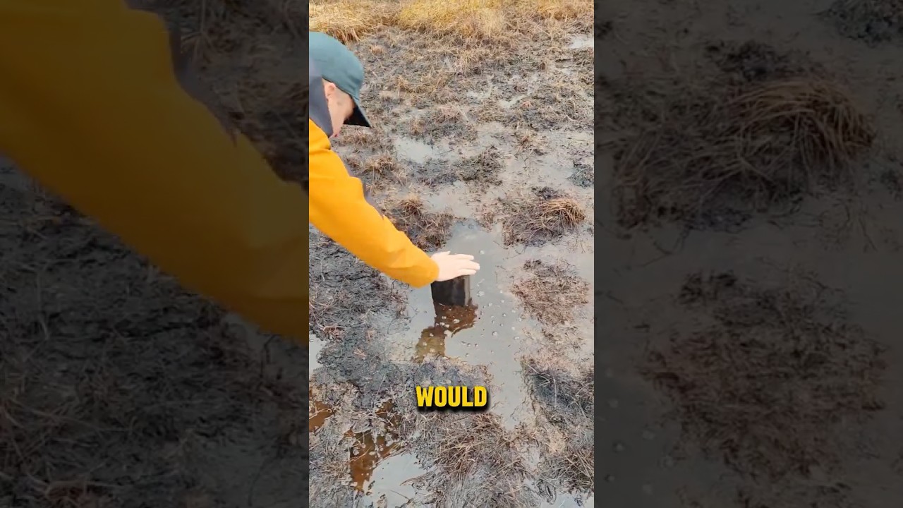 Falling in a Bog Hole! #shorts (ig/nintervo)