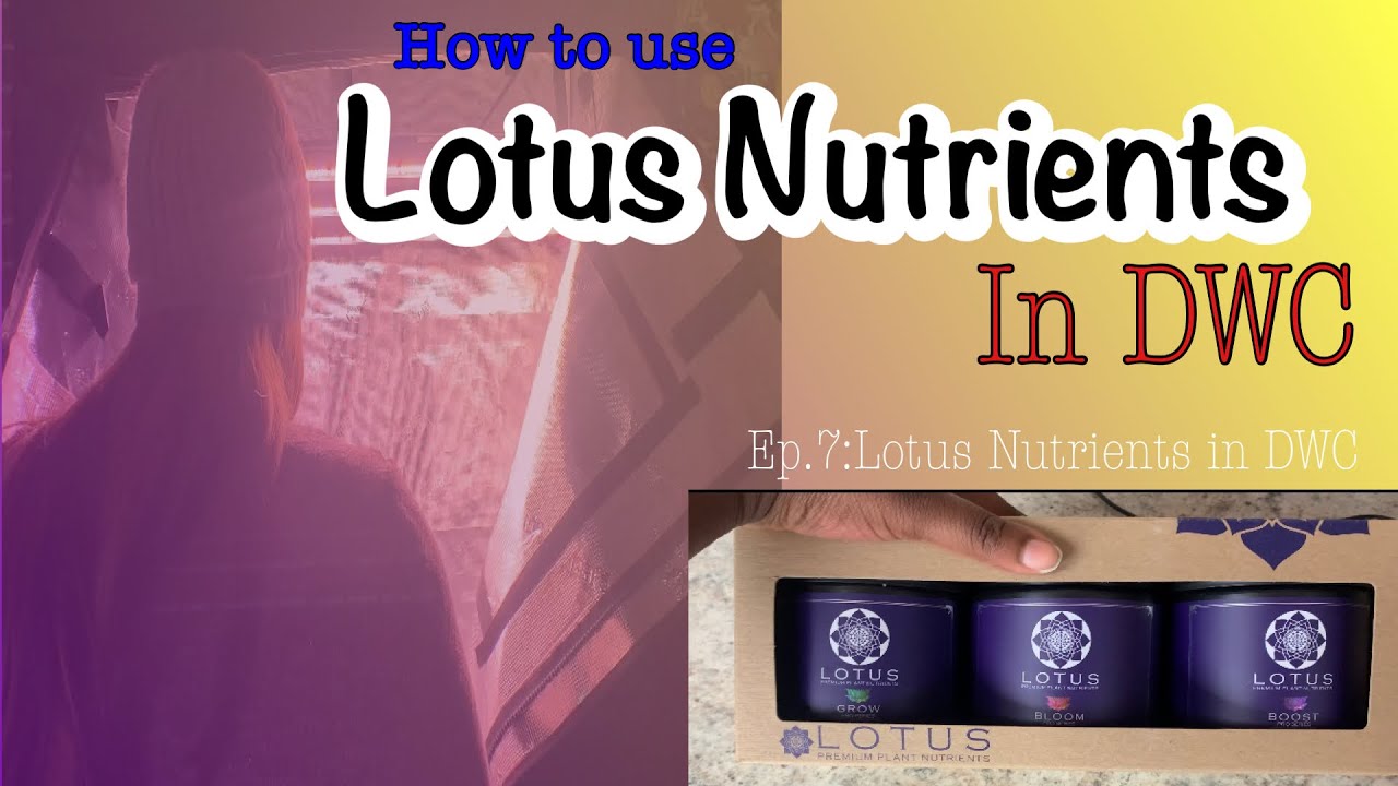 How to use Lotus Nutrients in hydroponics