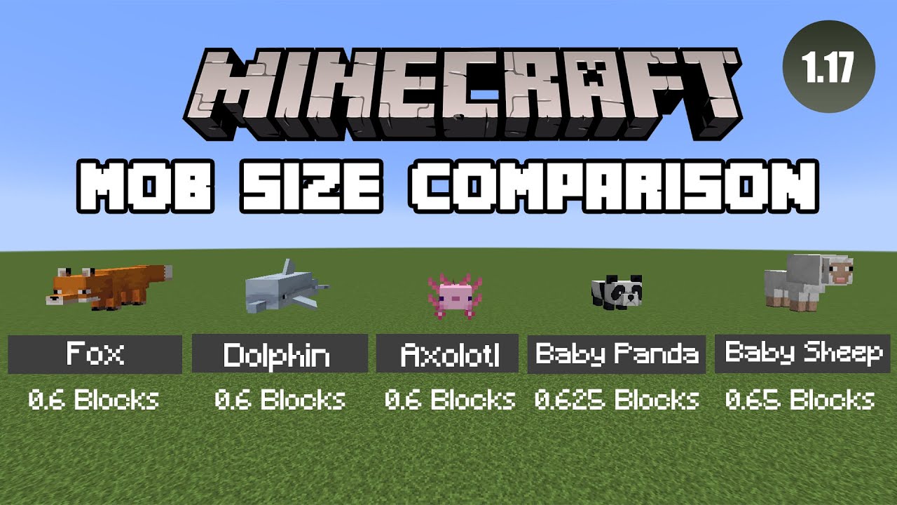 MINECRAFT MOB SIZE COMPARISON 2021 (1.17)
