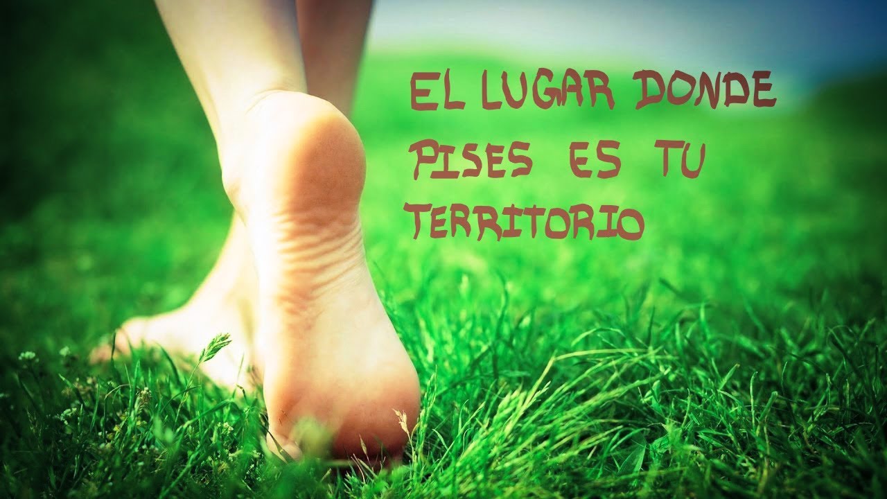 El lugar donde pises es tu territorio