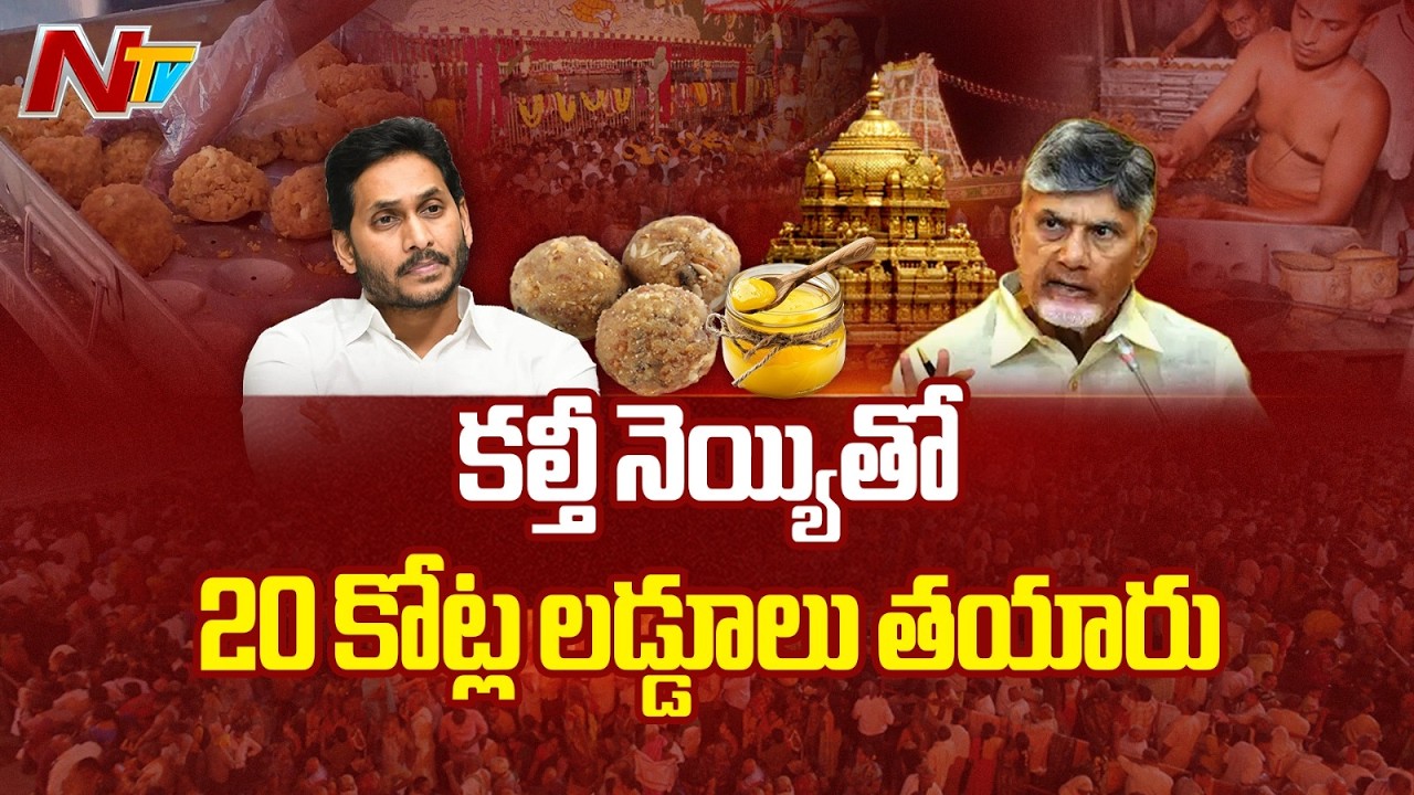 Tirumala Laddu Adulterated Ghee Case : తిరుమల లడ్డూ కల్తీ నెయ్యి వివాదం కీలక మలుపు | NTV