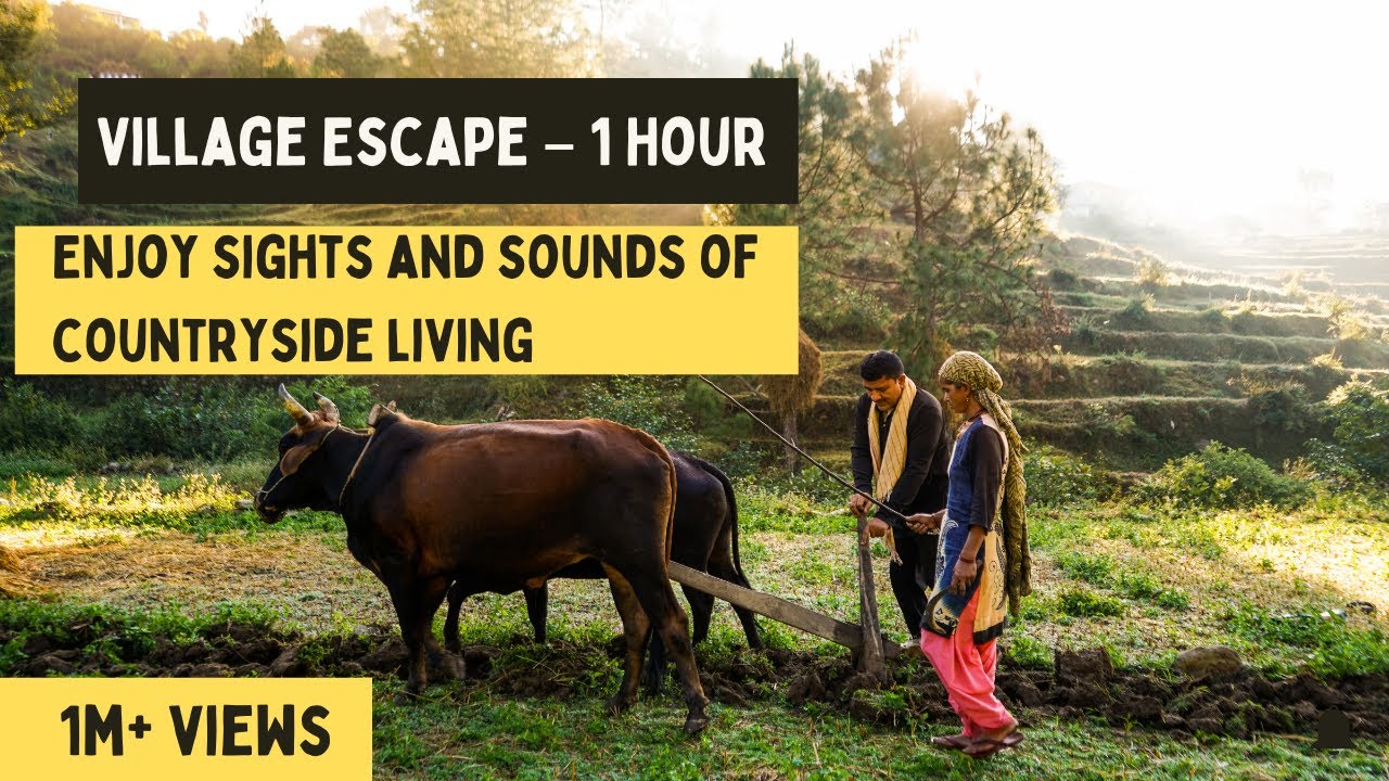 Peaceful Village Life with Animal Sounds and Rural Scenery