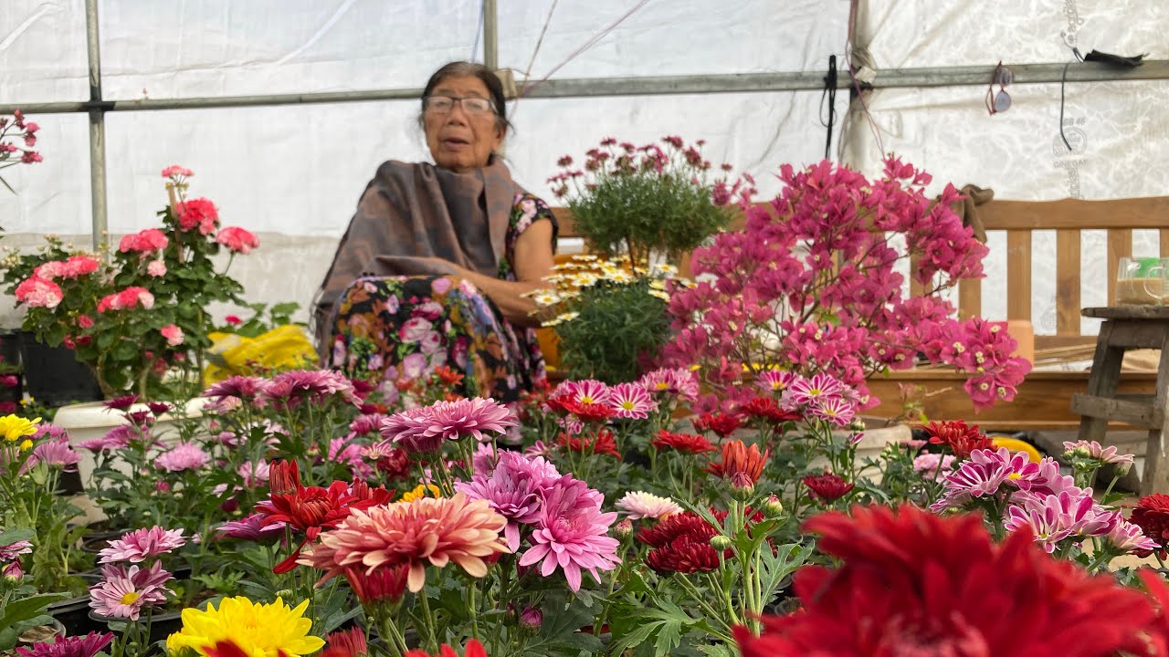 flower || tour || kan nei || pi nguri nen || 