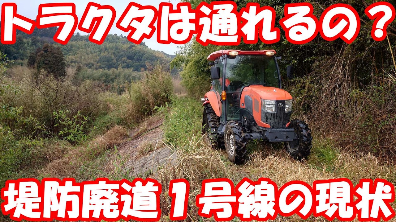 どうなってる？堤防廃道1号線の今。作業道路化を狙う。