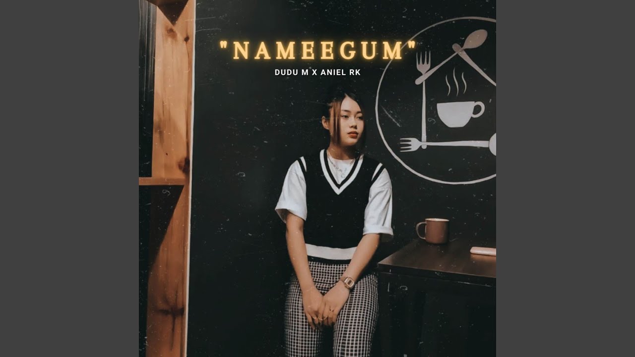 Nameegum