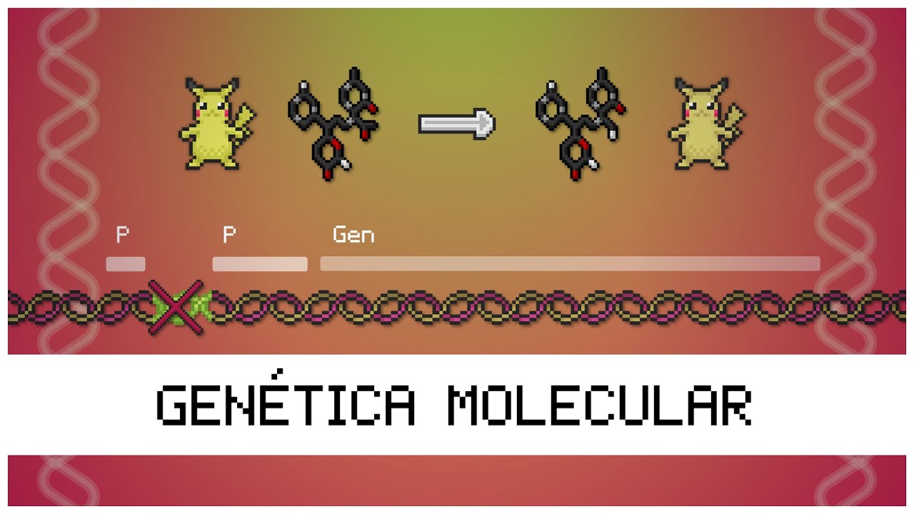 Introducci&oacute;n a GEN&Eacute;TICA MOLECULAR 🧬🔬😱