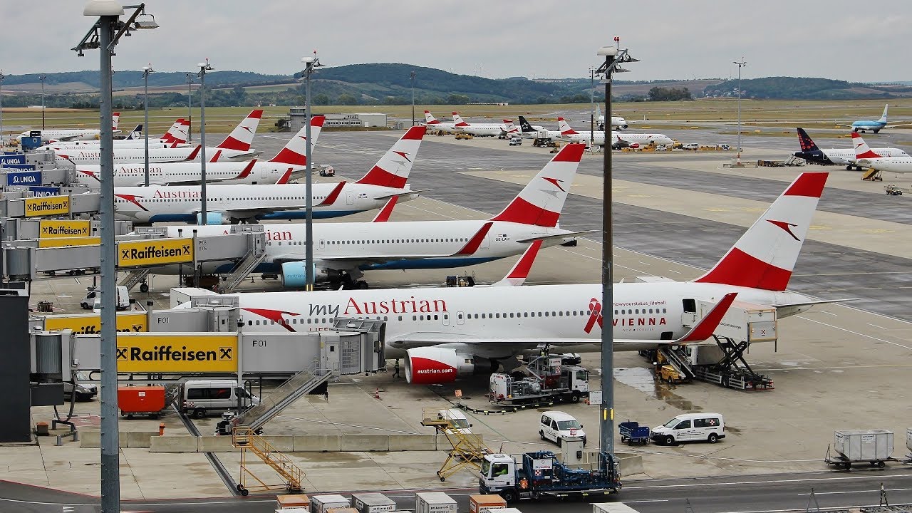 Peak Summer Plane Spotting at Vienna Airport | 777s 767s A350s F100s & More