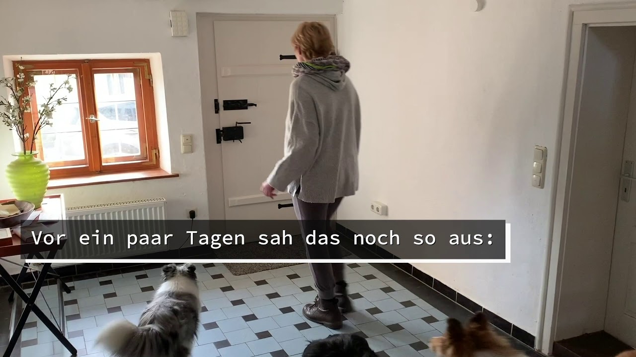 Bei offener Haustür ruhig im Flur stehen bleiben