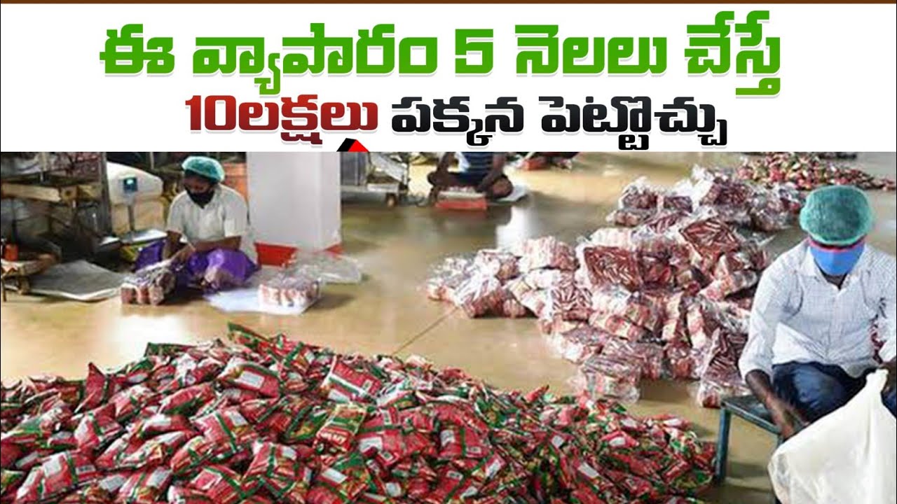new small business ideas in Telugu/small business ideas 2023 Telugu