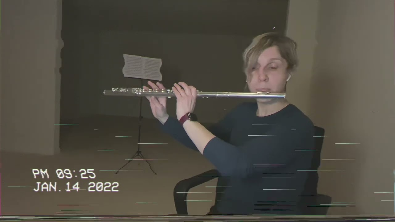 Flute cover Lonely Day, System of a Down #lonelyday #systemofadown #flutecover #flute #cover