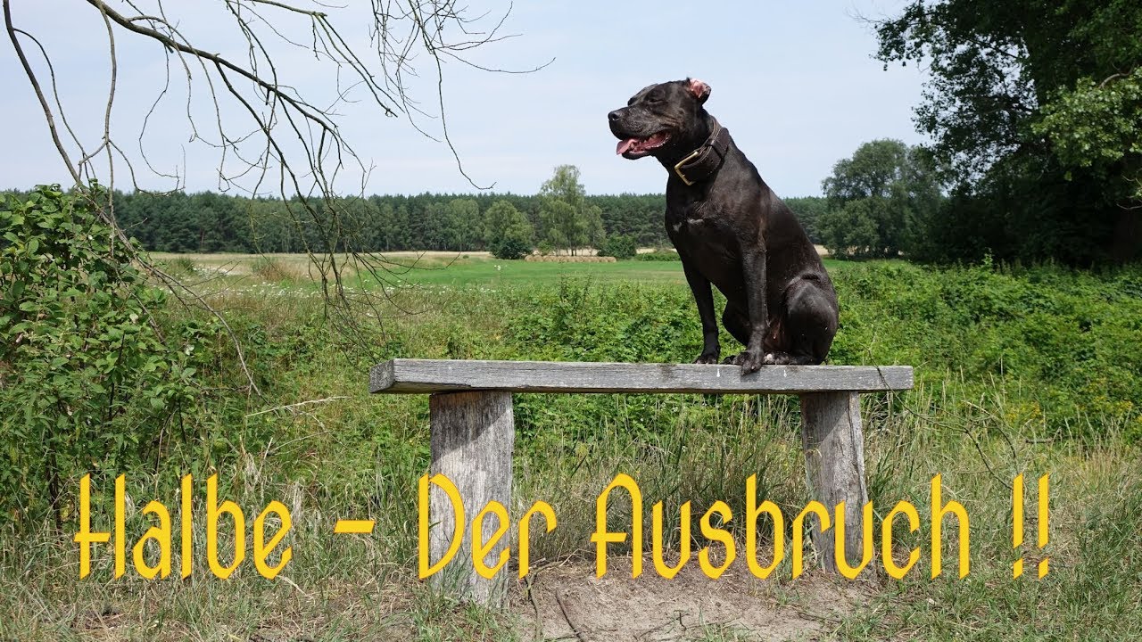 Halbe - Der Hauptausbruchsweg der 9.  Armee nach Westen