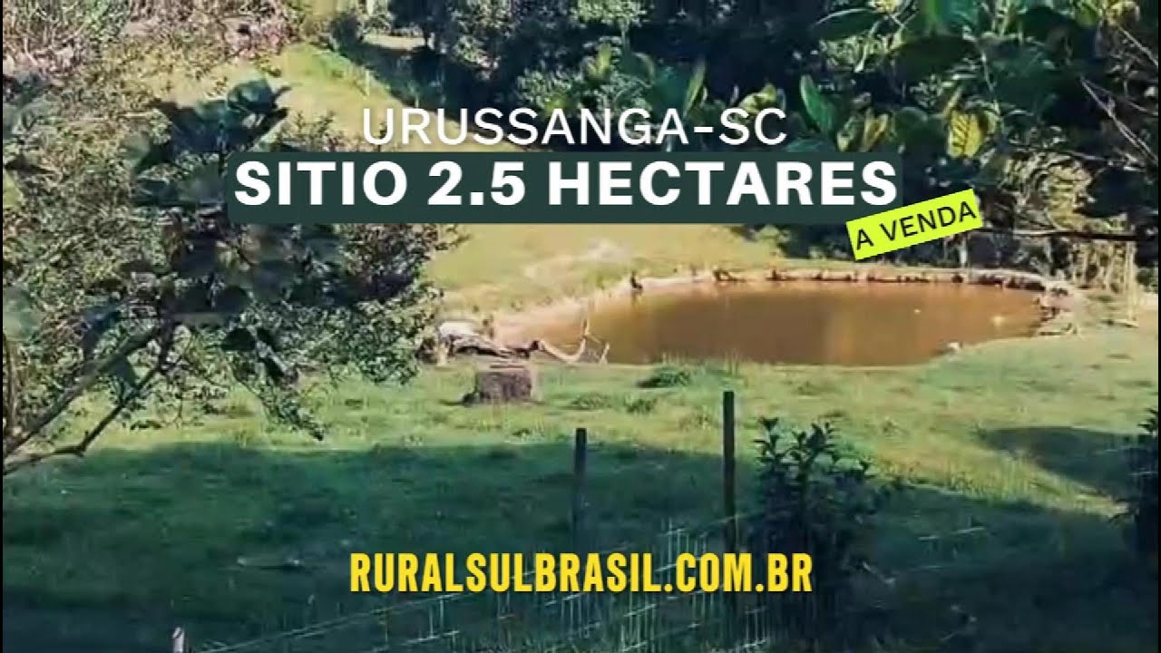 Urussanga-SC _ SITIO RAÍZ, PERTINHO DA CIDADE!  2.5 HECTARES