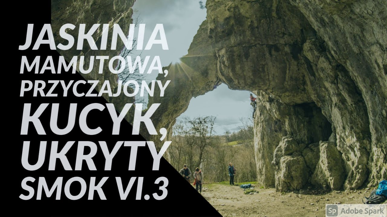 Dolina Kluczwody, Jaskinia Mamutowa, Przyczajony kucyk, ukryty smok VI.3