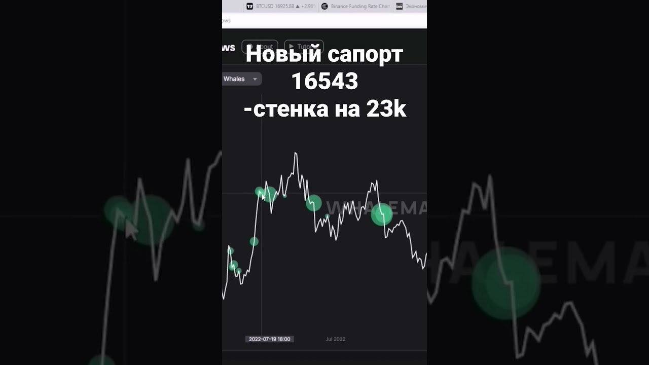 🔥🔥🔥Минус стенка 65k BTC на 23к. 🚀Новый сапорт!