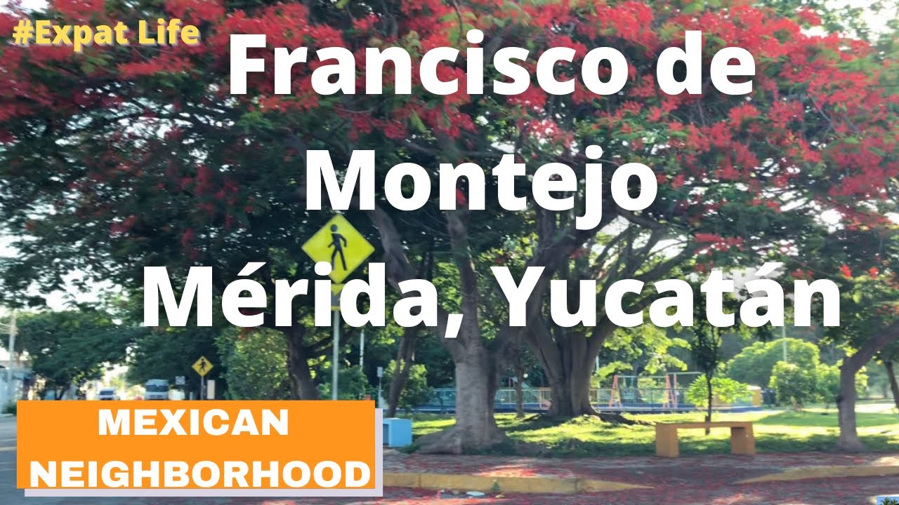 Francisco de Montejo | Mexican Neighborhoods | Nadene in Mérida, Mexico
