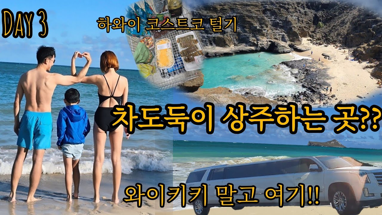 🇺🇲미국여행 하와이3. 하와이해변, 와이키키말고 여기가 최고👍 차도둑이 상주하는 주차장?? 코스트코 탈탈 털어드림/ 해변드라이브,와이마날로비치,할로나블로우홀,카할라비치,레이징케인즈