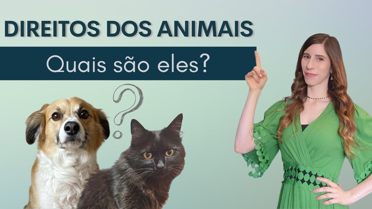 DIREITOS DOS ANIMAIS: quais são eles?