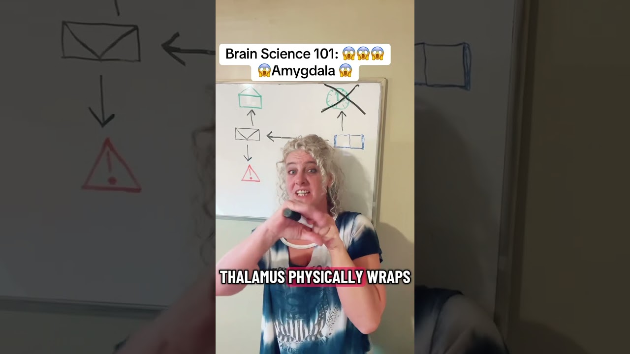 Trauma Brain Science 101: Amygdala #cptsd #traumainformed #neuroscience #ptsd #amygdala #traumabrain