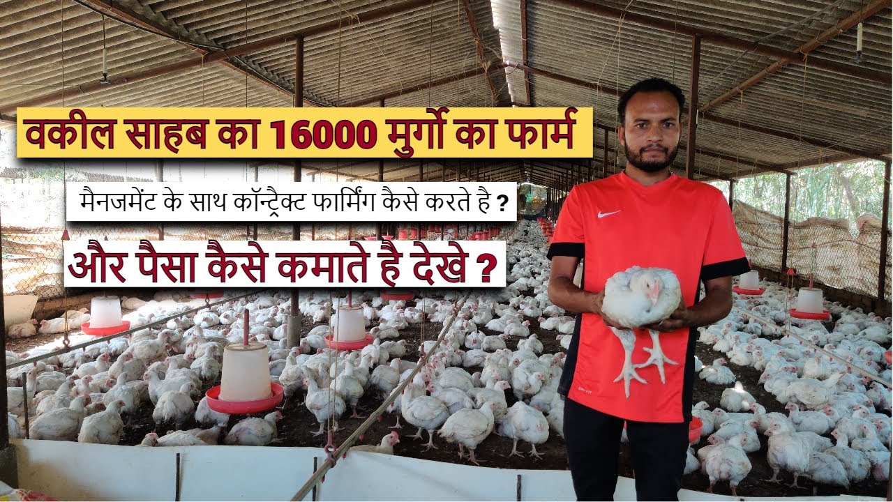 वकील साहब जो 5 सालो से कॉन्ट्रैक्ट फार्मिंग करते है और बढ़िया पैसा कमाते है।
