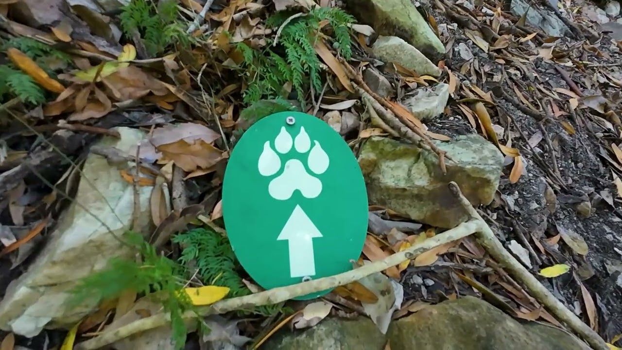 Leopard's Kloof Trail - Betty's Bay Western Cape