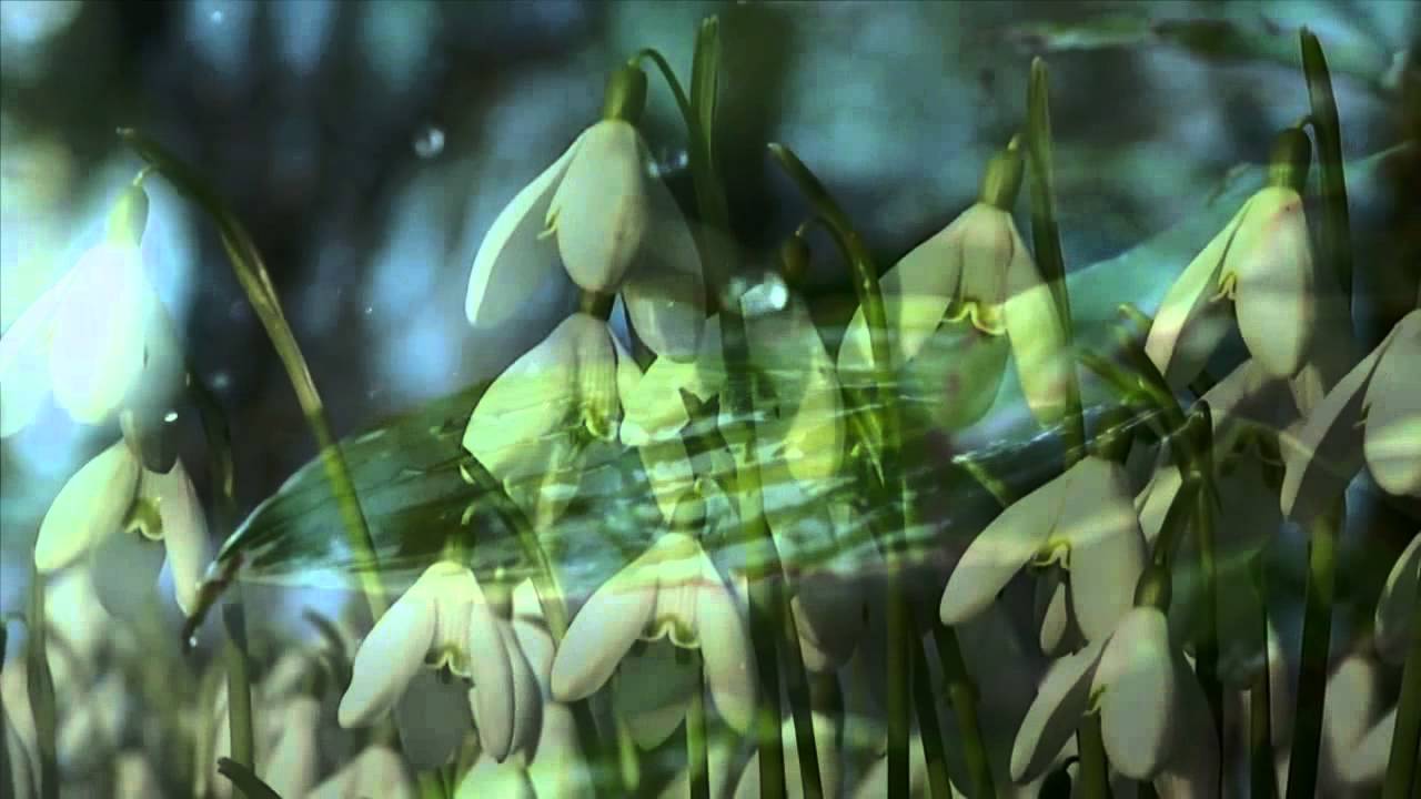 Воскресение.   (Музыка - Алексей Архиповский. Дорога домой)