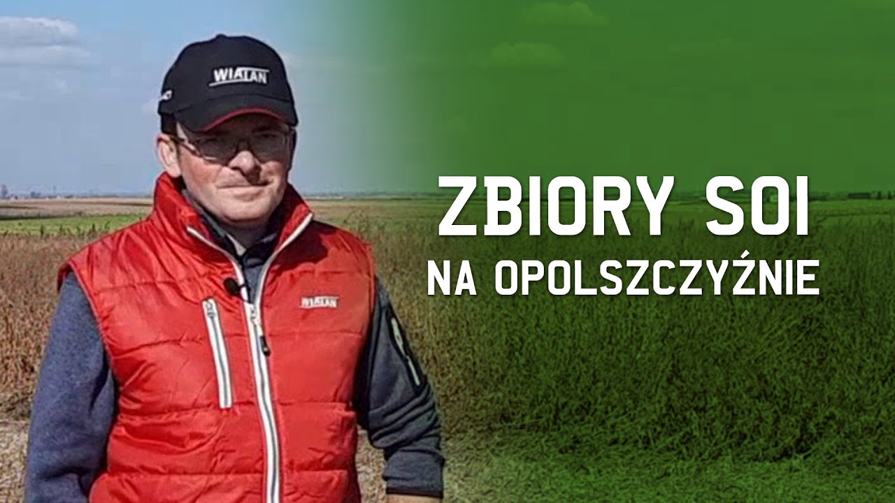 Zbiór Soi na Opolszczyźnie.