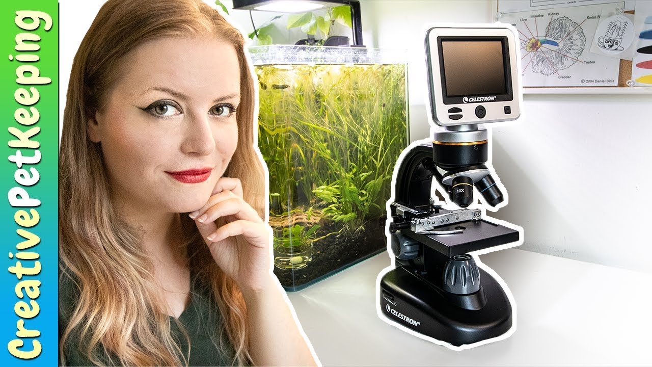 You NEED this in your Fish Room! 🔬🐟 | LCD Digital Microscope Unboxing