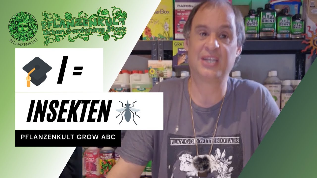 I = Insekten/Schädlinge 🐜🕷️| grow-abc | Was du gegen Trauermücke, Laus und Spinne tun kannst…